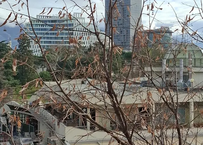 By Victoria 地拉那